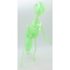 Glow-in-the-Dark Model Assembly (No Tools Required), Glow in the Dark