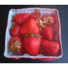 100 pcs mesh Netting for Berry Baskets Farmers Market Produce