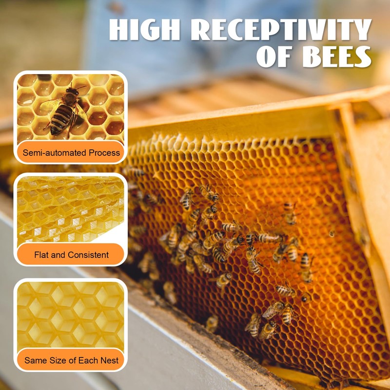 Beehive Waxed Coated Foundation Sheet 30PCS Honeycombs Bee Wax Nest