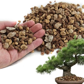 Horticultural Bonsai Soil - Additive Made from Red Lava Rock, Pumice and Akadama Cactus Bonsai Succulent Soil for Plants,Vase Fillers (5 QT)