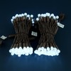 SWEET SHINE 140 Cool White Raspberry One-Piece LED Christmas Lights,