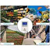 Digital Temperature Controller LCD Display Heating Cooling Thermostat Controller for