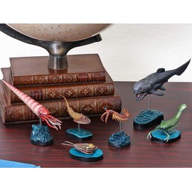 Carolata Paleozoic Biological Figure, 3D Picture Book (Ancient Fish, 6 Types, Instruction Book, Stand), Realistic Figure Box, Toy, Educational Toy, Present, Gift, Food Sanitation Act Clear