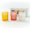 QVC HomeWorx by Slatkin + Co. 3pc Delectable Deserts Candle