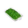 Smygoods Disposable Clear Plastic Clamshell Containers for Herbs, Leak-Proof, Ideal