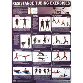 Productive Fitness Poster Series Upper Resistance Tubing Exercises Laminated