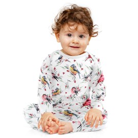 vvfelixl Baby Bodysuits Pants Sets Bird Cardinal Bullfinch Titmouse Long Sleeve Baby Clothes for Boys Girls 0-24M, Multicolor, 0-3 Months