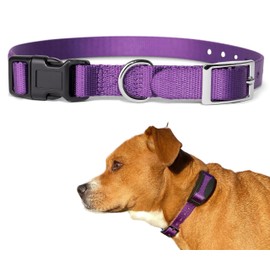 E Collar Replacement Strap, SportDog Replacement Collar, Petsafe Replacement Collar, Dog Shock Collar Replacement Strap, Invisible Fence Replacement Collar (3/4", Purple)