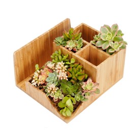 MobileVision Bamboo Succulent Plant Holder Desktop Organizer for Pens Pencils Files & Notepads; Gift for Back To School Teachers Employees Assistants