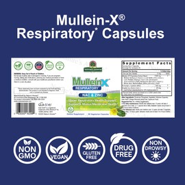 Nature's Answer MulleinX® Respiratory, NAC & Zinc, 90 Vegetarian Capsules