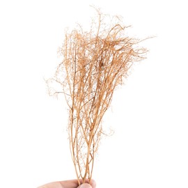 CENPEK Seafoam Trees Box Set Model Scene Materials Miniature Bushes with Branches for Diorama DIY Scenery Model Landscaping