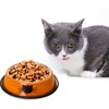 FANWINKJ 2 Pieces Stainless Steel Cat Bowl Set, Non-Slip Feeding
