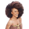 Janet Collection Synthetic Hair Braids Noir Afro Kinky Bulk 24"