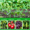 Toolazy Plastic Green Trellis Netting Roll 79''x328' Heavy-Duty Garden Netting