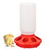 OUYOLAD Chicken Feeder Barrel Bird Drinking Poultry Diet Tool Quail