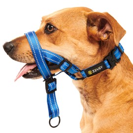 Zevey Dog Headcollar with Safety Strap Stops Heavy Pulling On The Leash Padded Reflective Head Halter for Small Medium Large Dogs Adjustable Head Harness for Training and Walking (Blue, S)