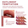 Gloss Labial Mate 6pcs Larga Duración Pigmentación Intensa