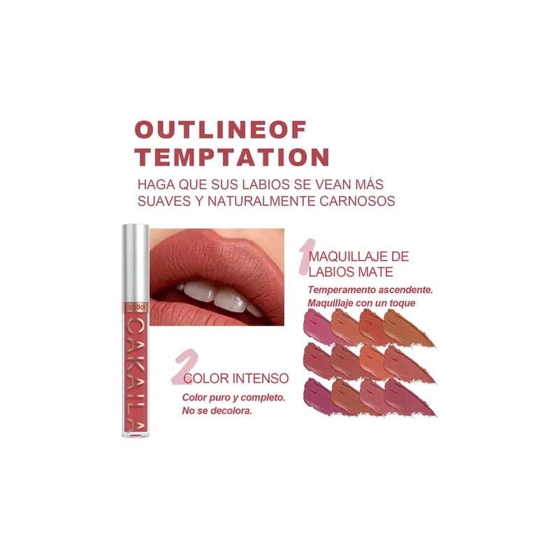 Gloss Labial Mate 6pcs Larga Duración Pigmentación Intensa