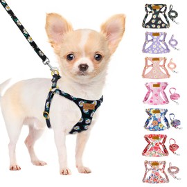 SlowTon Puppy Harness and Leash Sets - No Pull Soft Dog Harness Small Dog Adjustable Lightweight Vet Harness Ideal for Walking Running Training for Puppy Small and Medium Sized Dog