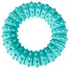 Trixie Denta Fun Natural Rubber Mint Fresh Ring for Dog,
