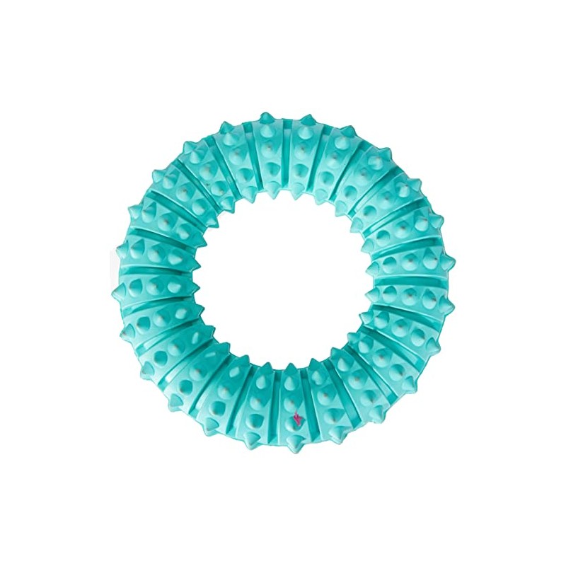 Trixie Denta Fun Natural Rubber Mint Fresh Ring for Dog,