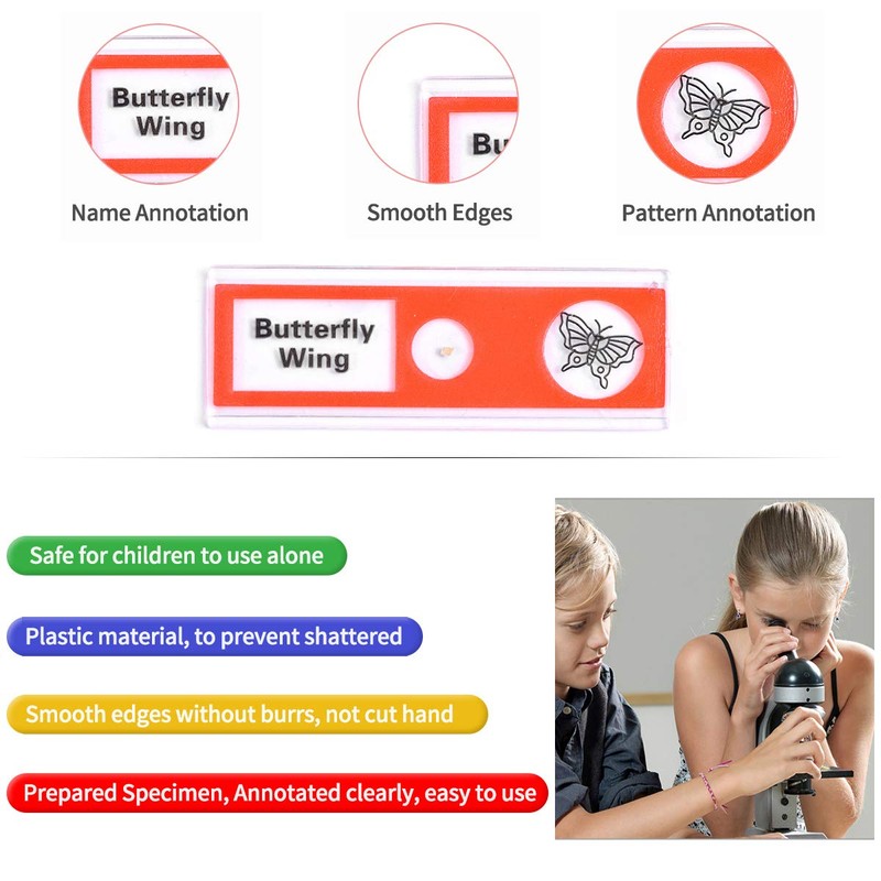 Plastic Prepared Microscope Slides for Kids, Cainda 60pcs Animals Insects