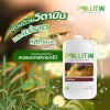 Pollitin 2 x Polliton Nutraceutical Dietary Supplement Graminex Rye Grass