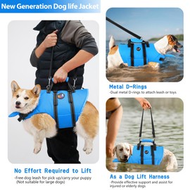 Dogcheer Dog Life Jacket with Zipper and 4ft Leash, Adjustable Pet Life Vest for Swimming Boating, High Buoyancy Flotation Swim Vest PFD for Small Medium and Large Dogs-Blue,XS