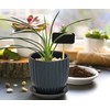 Set of 2 Stoneware Planter Pot, Ceramic Pot with Drainage
