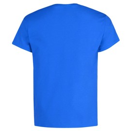 Gildan Men's Crew Neck Cotton T Shirt, Large, Antique Royal