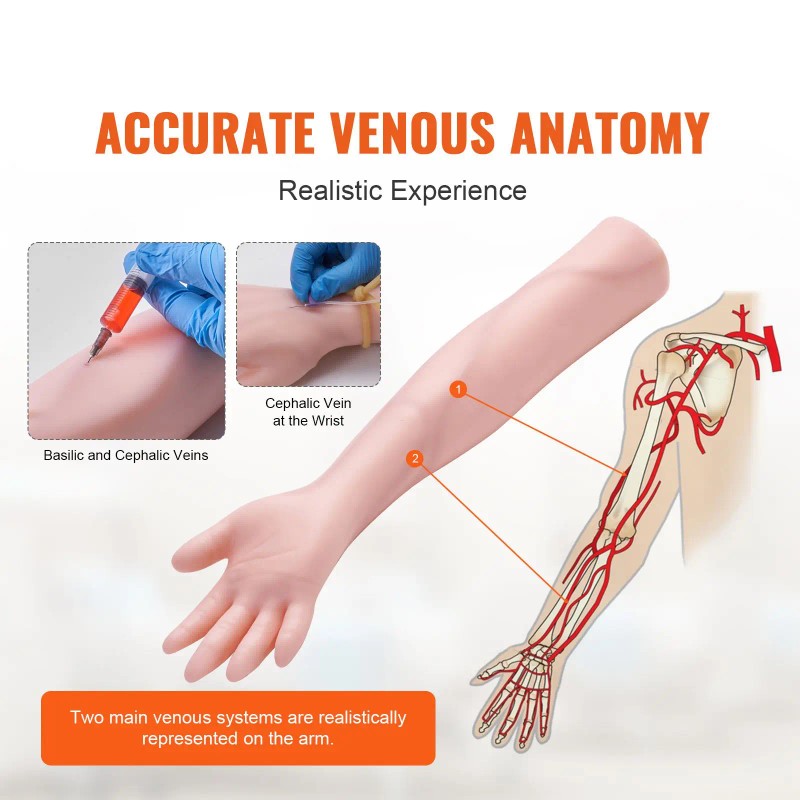 High Simulation IV Practice Arm Kit with Carrying Bag Phlebotomy
