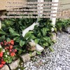 Rain Gutter Downspout Extensions Flexible, Drain Downspout Extender,Down Spout Drain