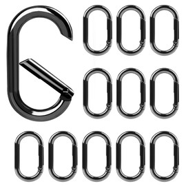 Gopal 12Pcs Small Carabiner Clip: 1.72in Tiny Oval Clasp Carabiners - Spring O Ring Hook Chain Connector - Zinc Alloy Mini Purse Keychain Clips Replacement, Multi-use for Bag Dog Tag Paracord Lanyard