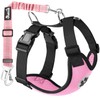 Eyein Dog Harness with Seat Belt for Car, 2 Carabiner