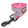 Pawtitas 6 FT Padded Dog Leash with Comfortable Handle -