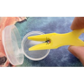 2-Pack Tick Tool Set with Storage Container – Assorted Colors – Tick Kit for Outdoor Safety, Pets, & Collection for Testing