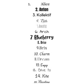 Custom Stickers, Bird Return Address Labels, Address Stickers, Several Designs, 2x1 inch labels, Several Font Choices