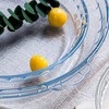FEOOWV 1 Pack Round Glass Pie Pans for Baking Round