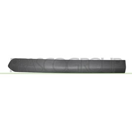 Protective strip door rear left black