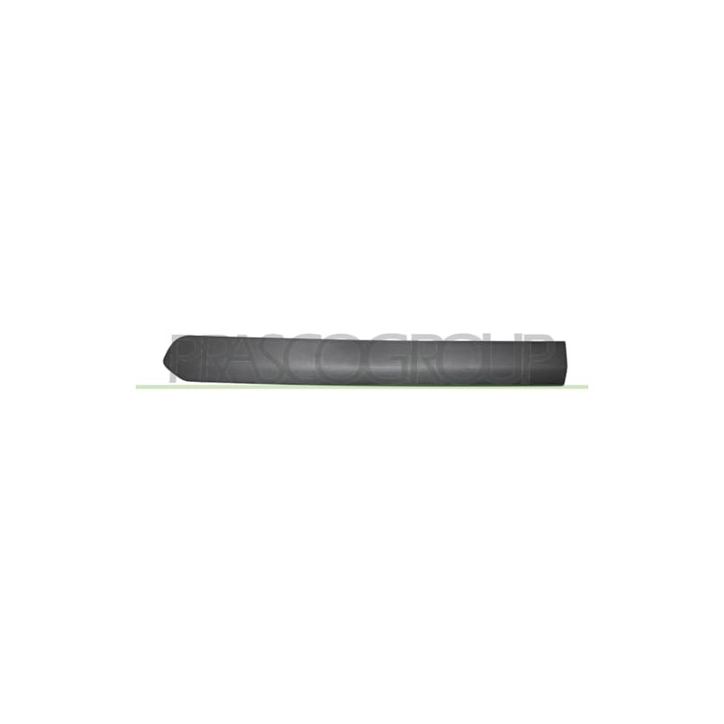 Protective strip door rear left black