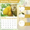 Gag Gifts - 2024 Wall Calendar, White Elephants Natures's Butts,
