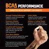 21st Century BCAA Performance