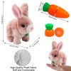 Bouncing Rabbit, Bouncing Rabbit Toy, Talking Rabbit, Rabbit Cuddly Toy,