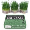 Organic Cat Grass Kit 3 Pack | Non GMO Mixed