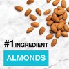 KIND Nut Bars, Almond & Coconut, Healthy Snack Bars, Gluten