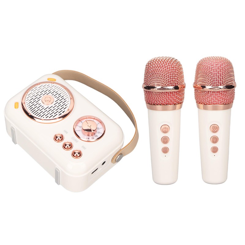 Karaoke Machine Multifunction Enhanced Bass 6 Modes Portable Bluetooth PA