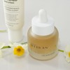 위글랜 진생리페어 속광 앰플 Wigland Ginseng Repair Radiance Ampoule, 30ml
