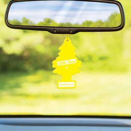 2PCS LITTLE TREES Car Air Freshener Hanging Tree Provides Long Lasting Scent for Auto or Home New Car Scent (Vanillaroma)