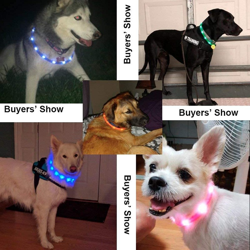BSEEN Silicone LED Dog Collar - USB Rechargeable Light Up