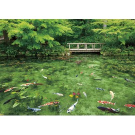 500 Piece Jigsaw Puzzle Dancing Colors Monet Pond (Gifu Prefecture) (38x53cm)